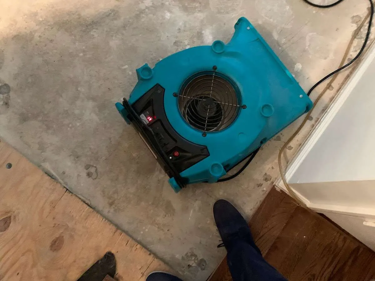 Air mover drying subfloor during Commercial Water Damage Restoration in Cedar Rapids